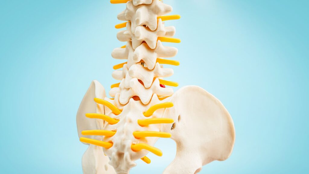 Spinal Stenosis vs Degenerative Disc Disease: What Is the Difference?